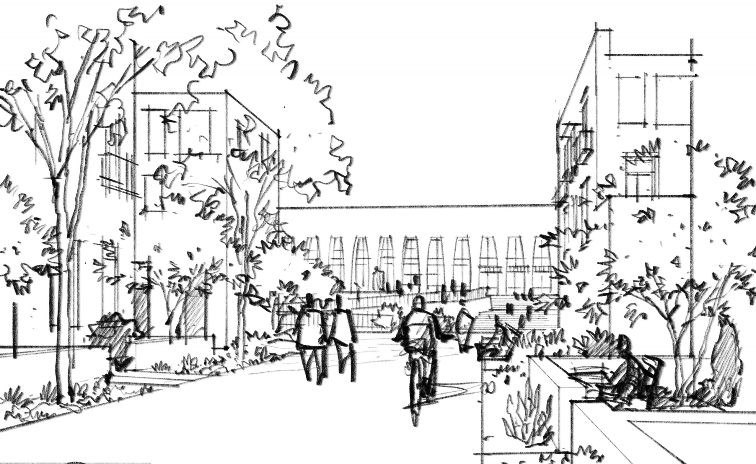 FacingLibraryAfter